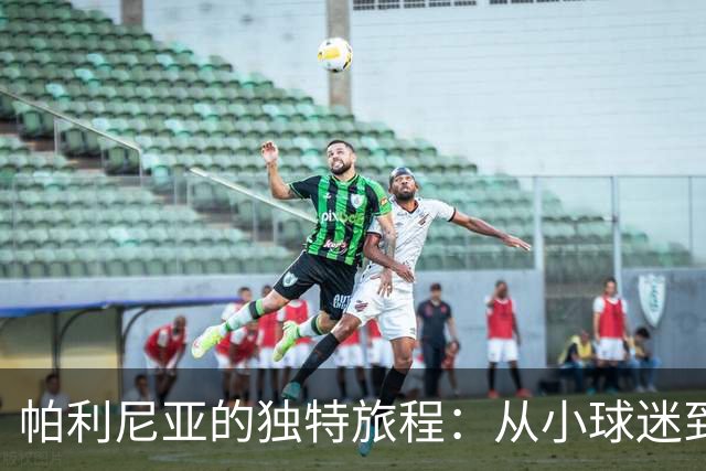 帕利尼亚的独特旅程：从小球迷到本菲卡新星